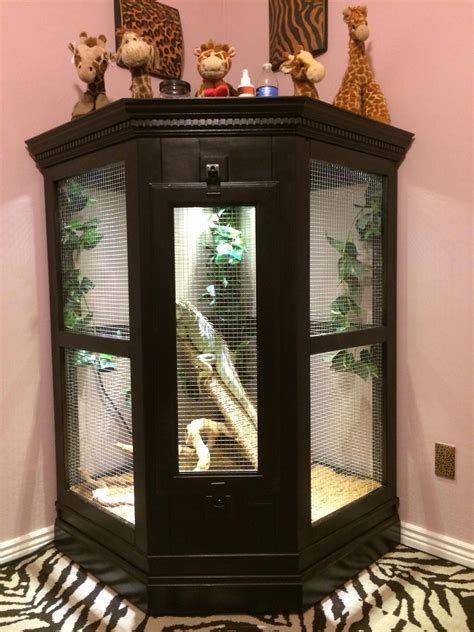 iguana custom|custom iguana cages.